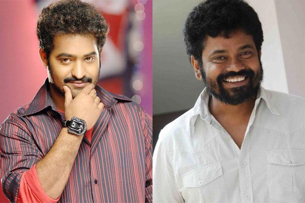 ntr,sukumar,maa nannaku prematho,rakul preeth singh  మొత్తానికి డేట్‌ ఫిక్సయింది అంటున్నారు..!